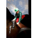 Насос дренажный для грязной воды Metabo PS 18000 SN 0251800000