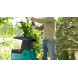 Подрібнювач електричний BOSCH AXT 25 D 0600803103
