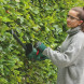 Кущоріз акумуляторний BOSCH EasyHedgeCut 18-52-13 solo 0600849M00 без АКБ