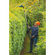 Кусторез аккумуляторный BOSCH UniversalHedgePole 18 06008B3000