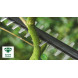 Кущоріз акумуляторний BOSCH UniversalHedgePole 18 solo 06008B3001 без АКБ