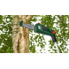 Висоторіз акумуляторний BOSCH UniversalChainPole 18 06008B3100