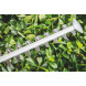 Кущоріз електричний BOSCH AdvancedHedgeCut 70 06008C0903
