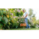 Тример електричний BOSCH EasyGrassCut 26 06008C1J01