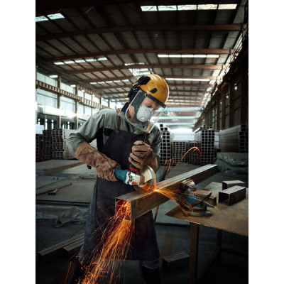 Угловая шлифмашина BOSCH GWS 12-125 S Professional 06013A6020