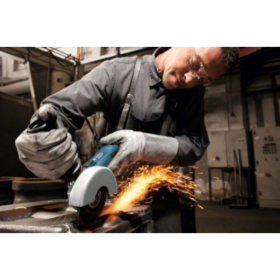 Кутова шліфмашина BOSCH Professional GWS 13-125 CIE 060179F002