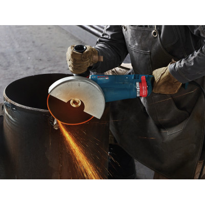 Кутова шліфмашина BOSCH GWS 24-230 JZ Professional 06018C3300