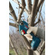 Ножницы-секаторы аккумуляторные BOSCH Pro Pruner 06019K1020 без АКБ