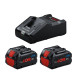 Набор BOSCH Professional зарядное устройство 18 В, аккумуляторы 2 шт Li-Ion 18 В 8 Ач 1600A02T5P