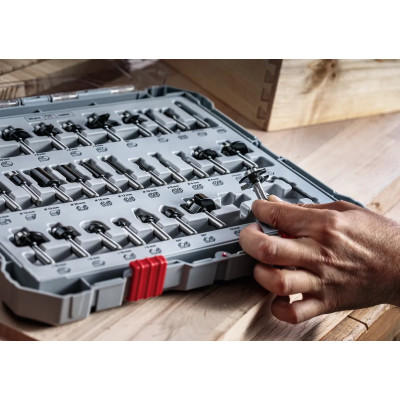 Набір фрез по дереву 30 шт BOSCH PRO 6 мм 2607017474