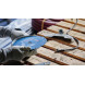 Круг відрізний універсальний BOSCH EXPERT Multi Material 230х22.23 мм 2608901682