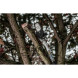 Насадка-высоторез Milwaukee M18 FOPH-CSA 4932464957