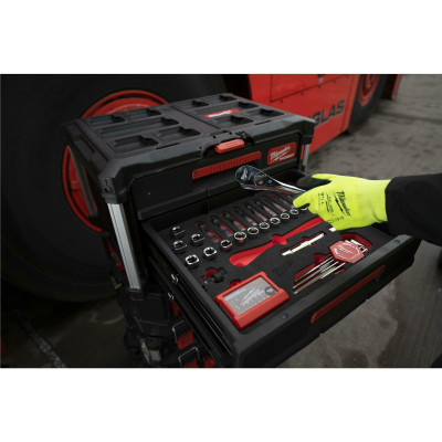 Набір інструментів в ложементі Milwaukee Packout 4932480716
