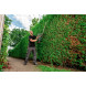 Кусторез аккумуляторный Metabo AHS 18-55 600463850 без АКБ