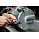 Точильний верстат Metabo DS 200 Plus 604200000