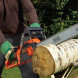 Ланцюгова пила електрична BLACK+DECKER CS2245
