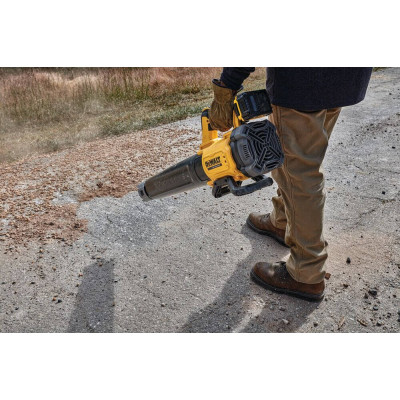 Повітродувка акумуляторна DeWALT DCMBL562P1