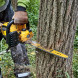Ланцюгова пила акумуляторна DeWALT DCMCS574N без АКБ
