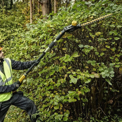 Кущоріз акумуляторний зі штангою DeWALT DCMPH566P1