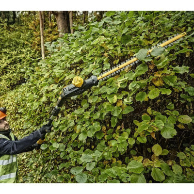 Кущоріз акумуляторний зі штангою DeWALT DCMPH566P1