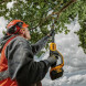Высоторез аккумуляторный DeWALT DCMPS567P1