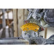 Торцовочная пила аккумуляторная DeWALT DCS727N без АКБ