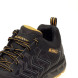 Черевики робочі DeWALT Fargo 41 р DWF50233-101-7
