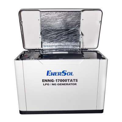 Генератор газовий EnerSol ENNG-17000TATS