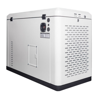 Генератор газовий EnerSol ENNG-17000TATS