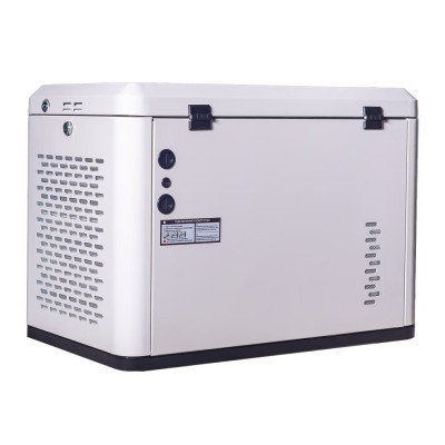Генератор газовий EnerSol ENNG-8500TATS