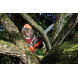 Цепная пила аккумуляторная BLACK+DECKER GKC1825L20
