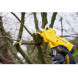 Набір акумуляторних садових інструментів STANLEY FatMax SFMCCS630M1+SFMCPP32M1