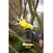 Ножницы садовые - секатор аккумуляторный STANLEY FATMAX SFMCPP32B